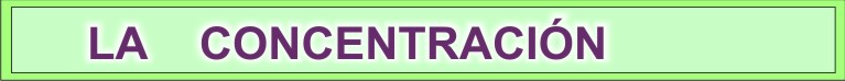 la-concentracion